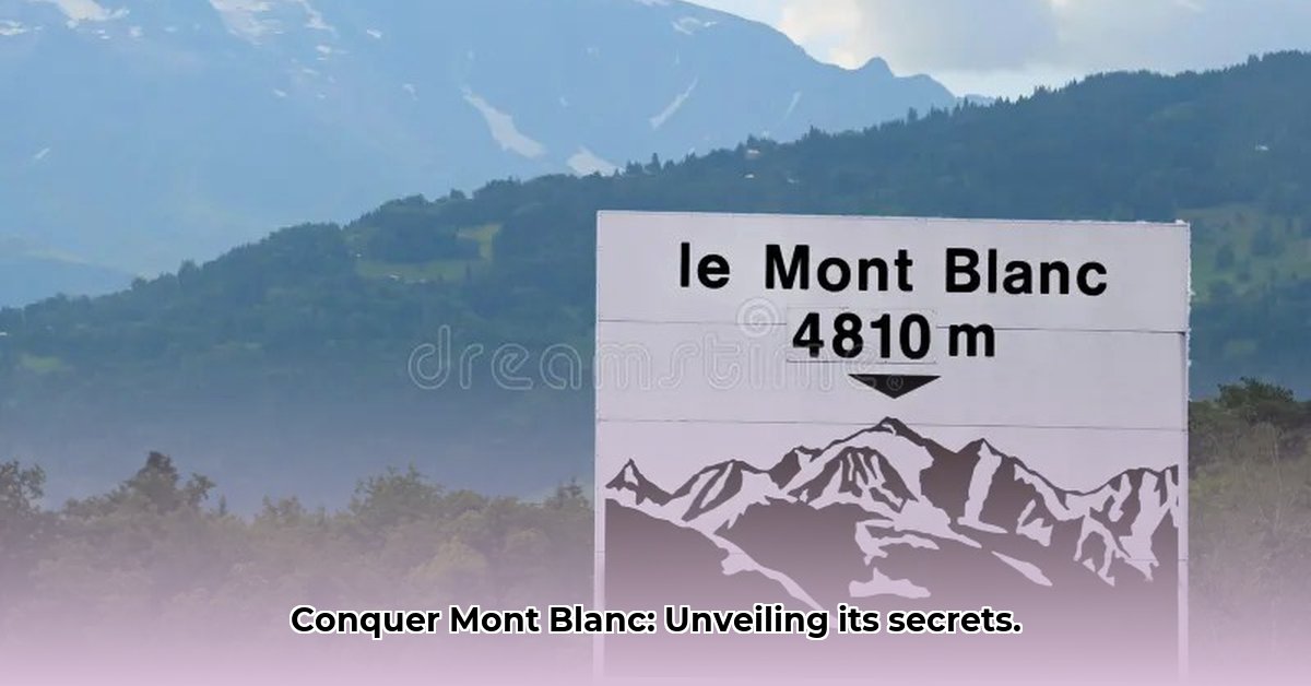 hoogte-mont-blanc